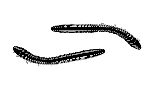 Libra Lures Fatty D´Worm Tournament 55mm - #040 Black - Cheese