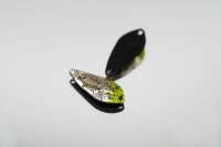 Deep Alf 2,1g - DP02 Strong Silver New Color Deep Alf 2,1g - DP02 Strong Silver New Color