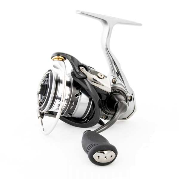 Daiwa Caldia LT 1000 S - P